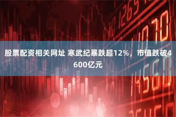 股票配资相关网址 寒武纪暴跌超12%，市值跌破4600亿元