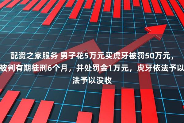 配资之家服务 男子花5万元买虎牙被罚50万元，卖方被判有期徒刑6个月，并处罚金1万元，虎牙依法予以没收